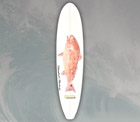 Fish Stix Surfboards