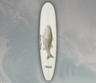 Fish Stix Surfboards